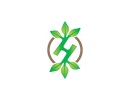 Herbs&Herbs